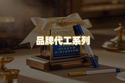 品牌代工系列